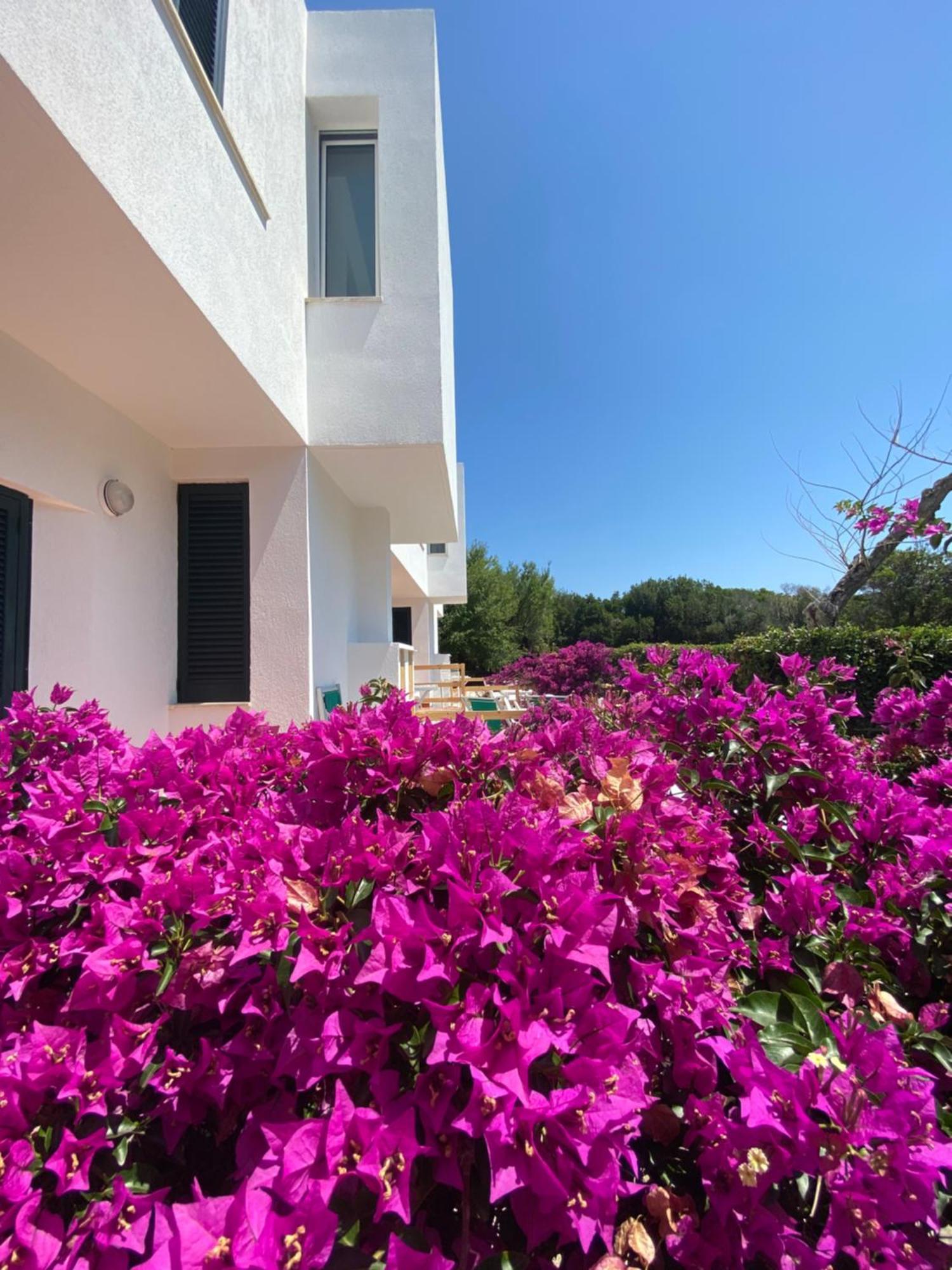 Residence Altair - Serra Degli Alimini Otranto Luaran gambar